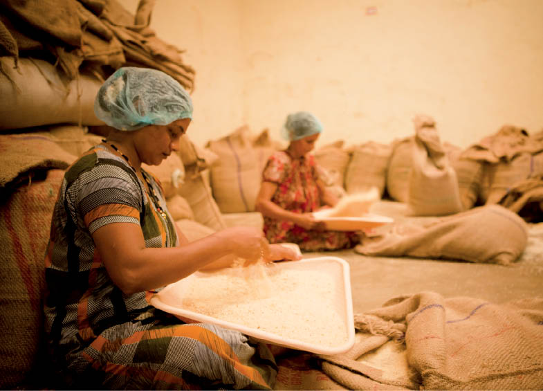Indian Agriculture: Seven Decades of Development